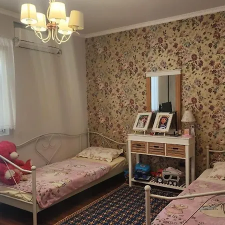 Apartment Rozi's *
